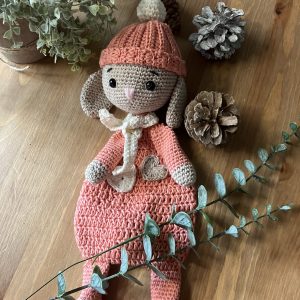 Lapin avec bonnet